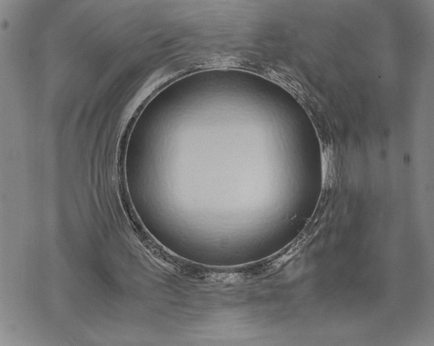 X0000071830195200607141709