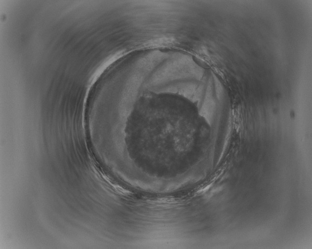 X0000071830196200607141709