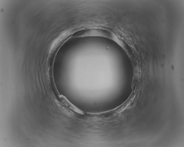 X0000071830197200607141709