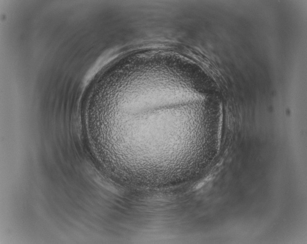 X0000071830198200607141708