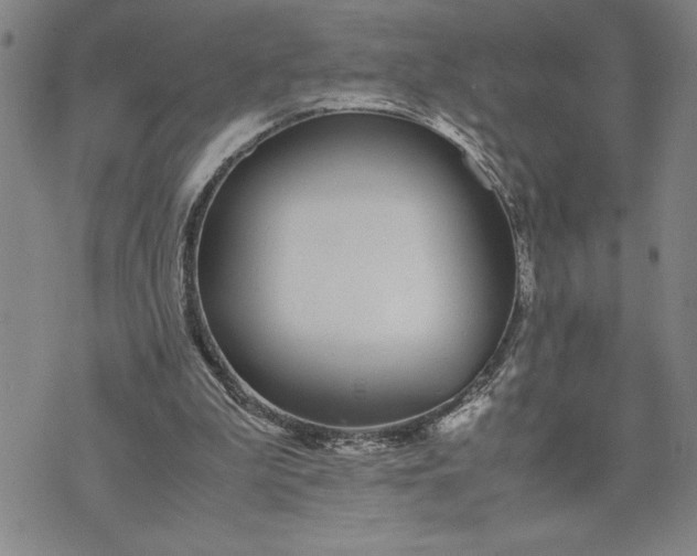 X0000071830199200607141708