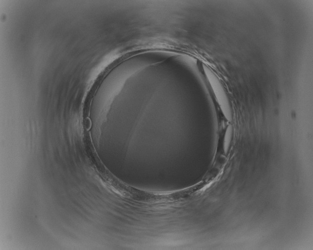 X0000071830200200607141708