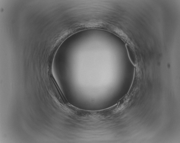 X0000071830201200607141708