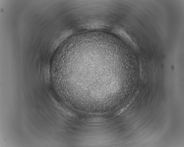 X0000071830202200607141708