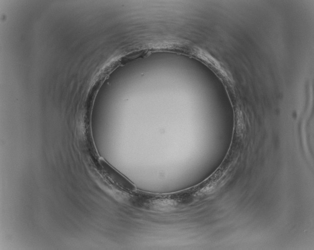 X0000071830203200607141708