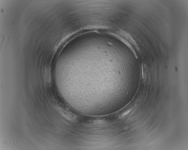 X0000071830204200607141708