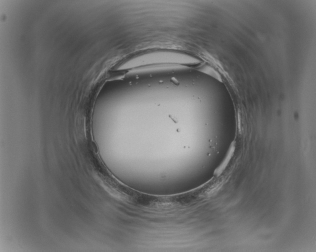 X0000071830205200607141708