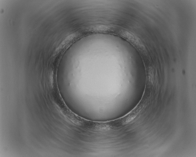 X0000071830206200607141708