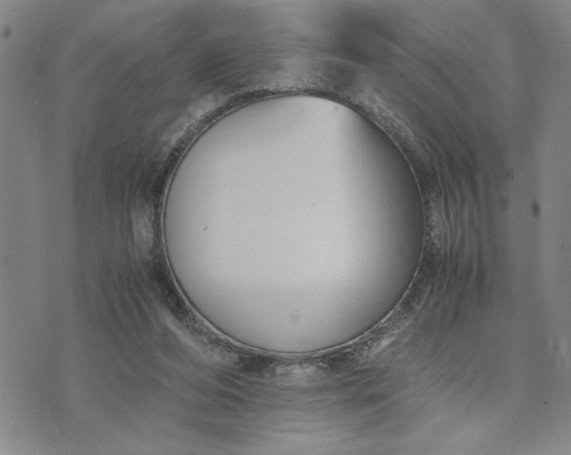 X0000071830208200607141708