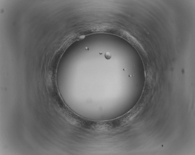 X0000071830209200607141708