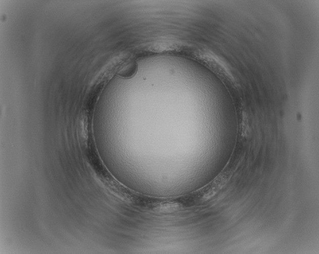 X0000071830210200607141708