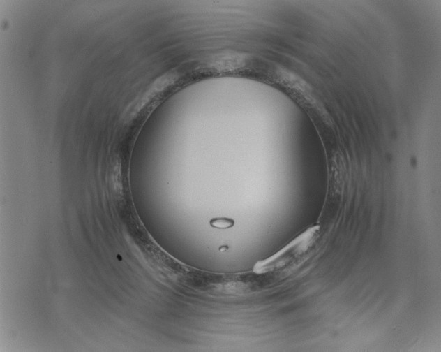 X0000071830212200607141708