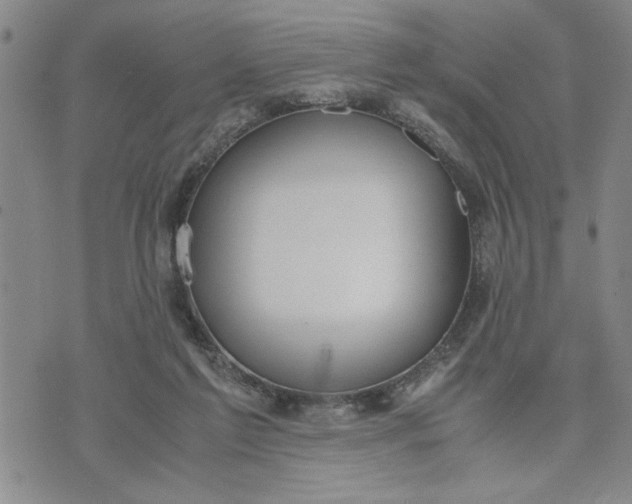 X0000071830213200607141708