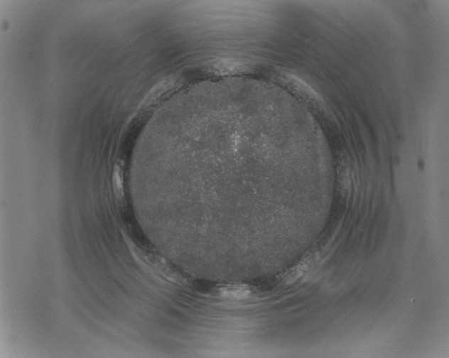 X0000071830214200607141708