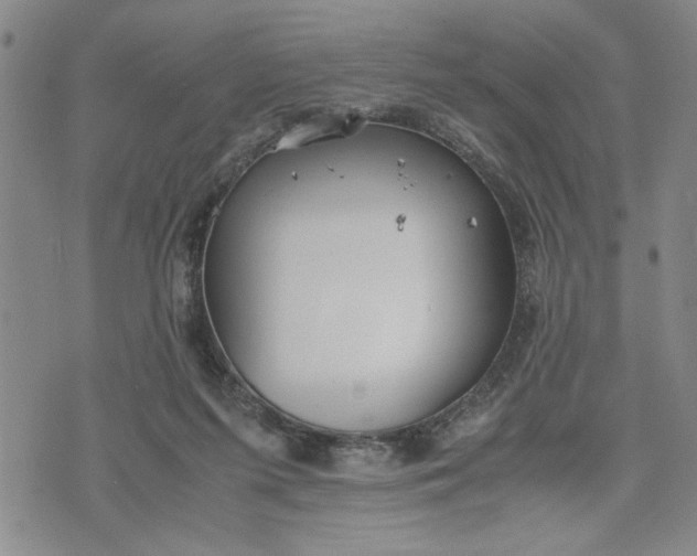 X0000071830215200607141708