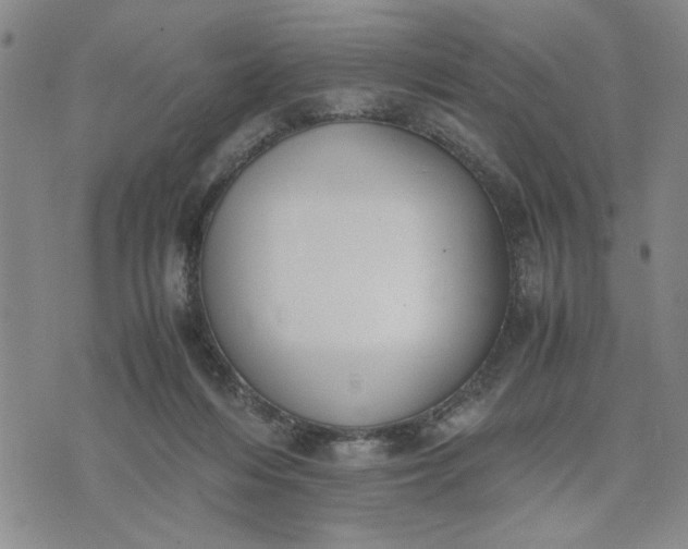 X0000071830216200607141708