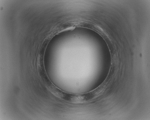 X0000071830217200607141708