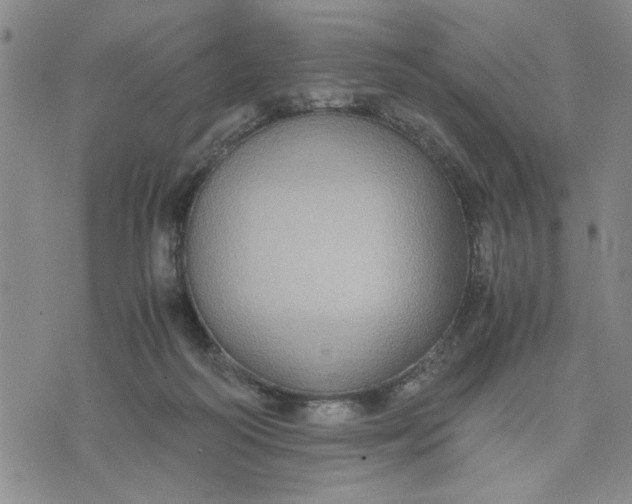 X0000071830218200607141708