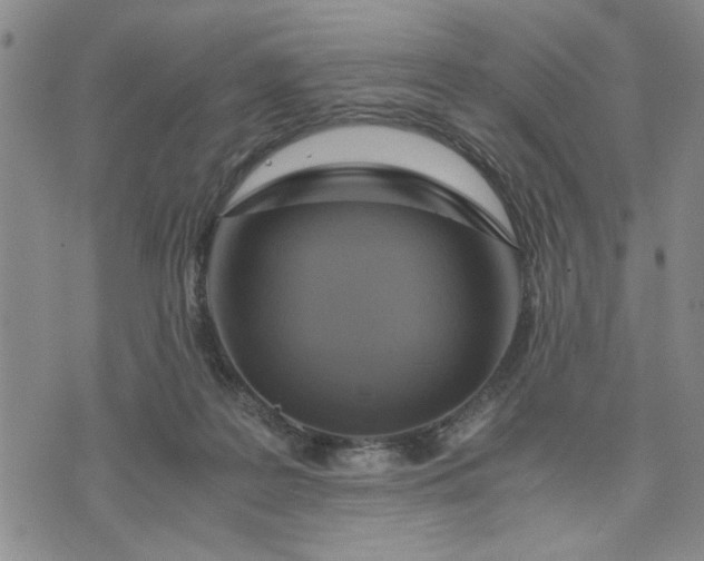 X0000071830219200607141708