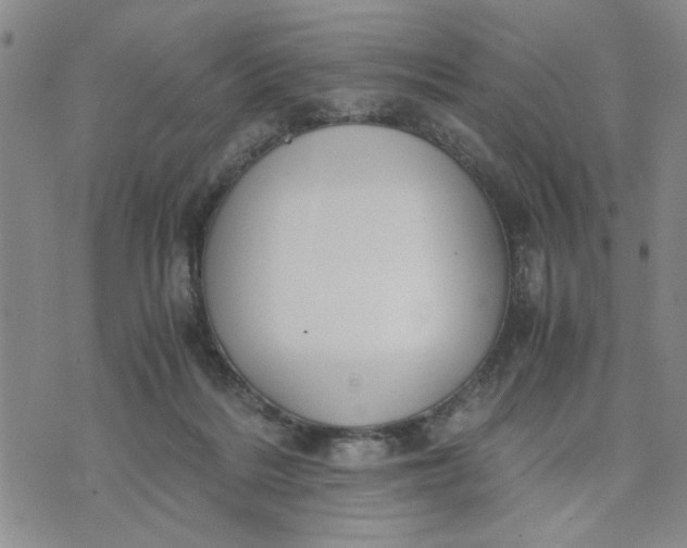 X0000071830220200607141708