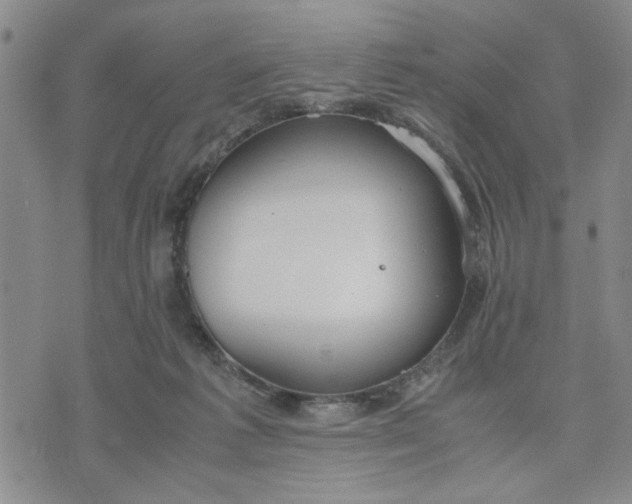 X0000071830221200607141708