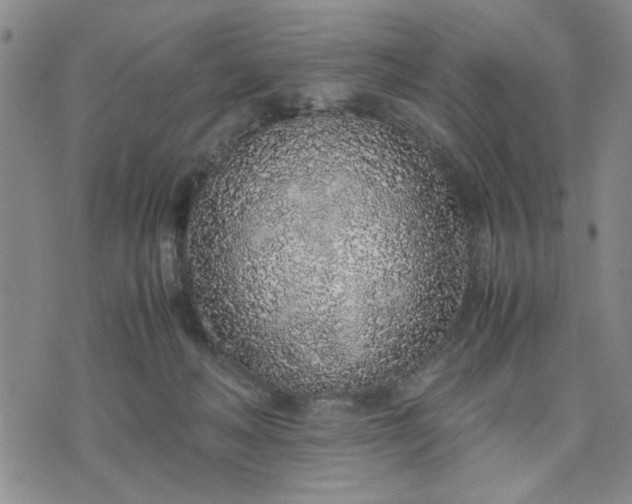 X0000071830222200607141708