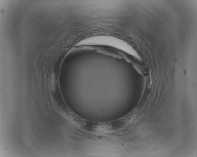 X0000071830223200607141708