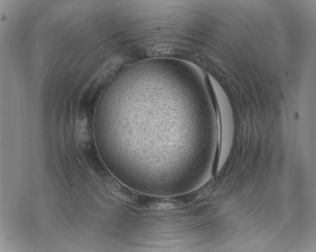 X0000071830224200607141708