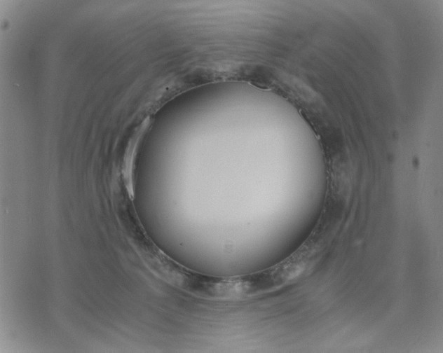 X0000071830225200607141708