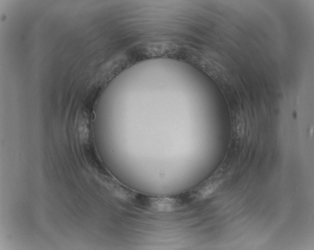 X0000071830226200607141708