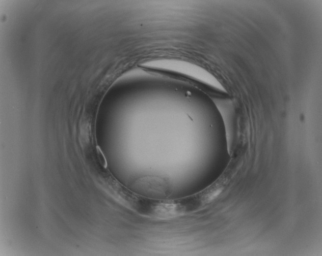 X0000071830227200607141708