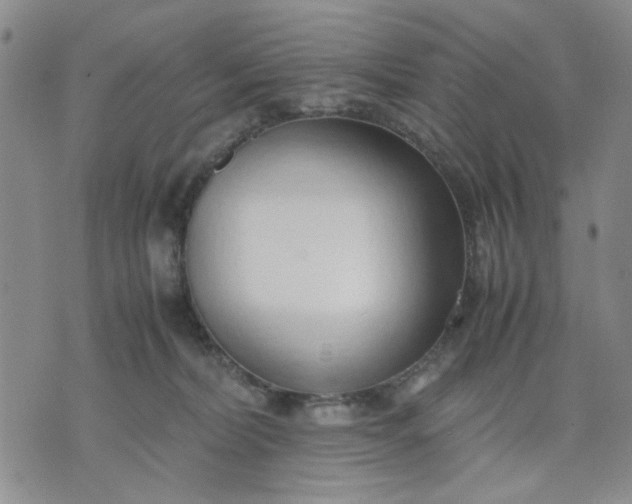 X0000071830228200607141708