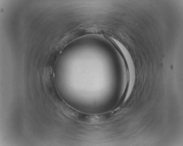 X0000071830229200607141708