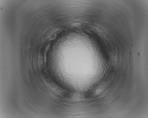 X0000071830230200607141708