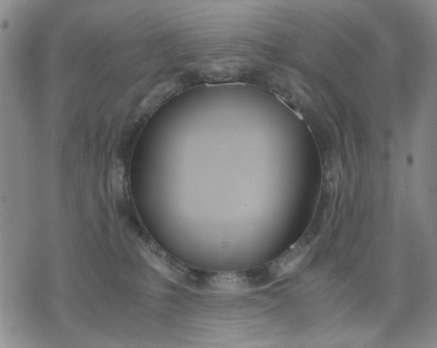 X0000071830231200607141708