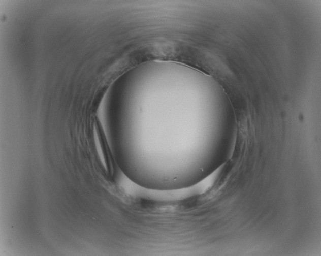 X0000071830233200607141708