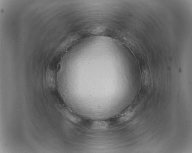 X0000071830234200607141708