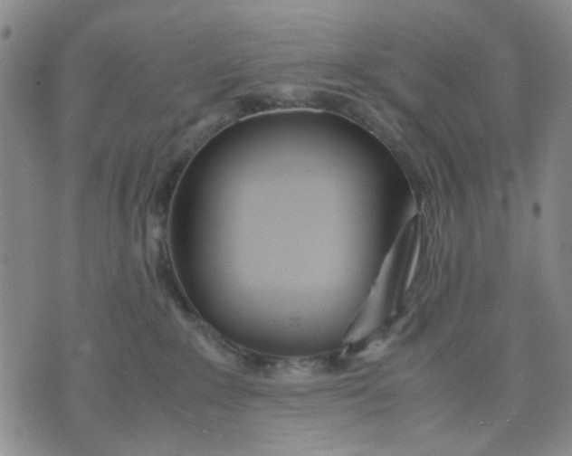 X0000071830235200607141708