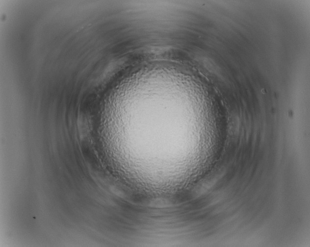 X0000071830236200607141708