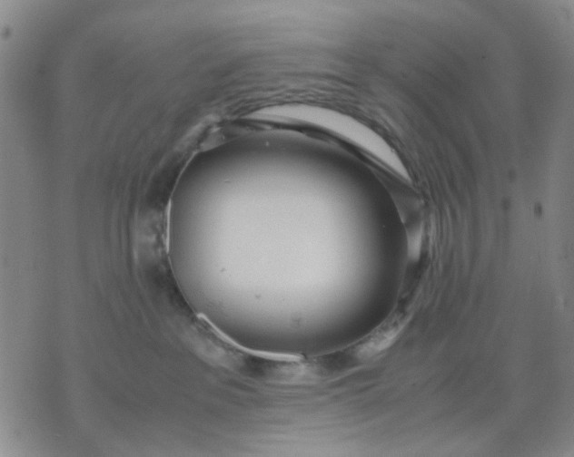 X0000071830237200607141708