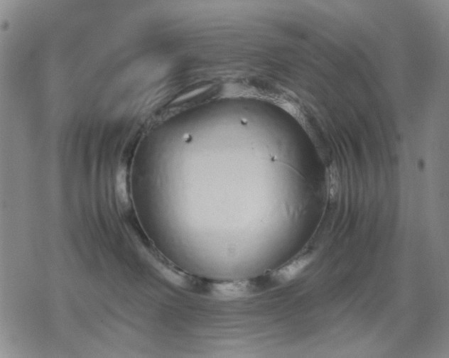 X0000071830238200607141708