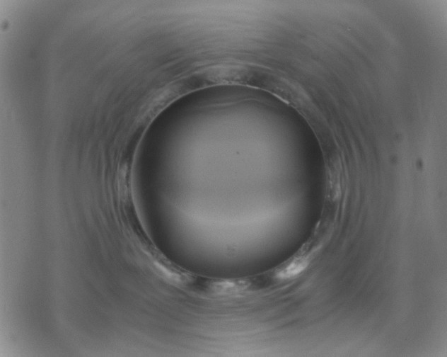 X0000071830239200607141708