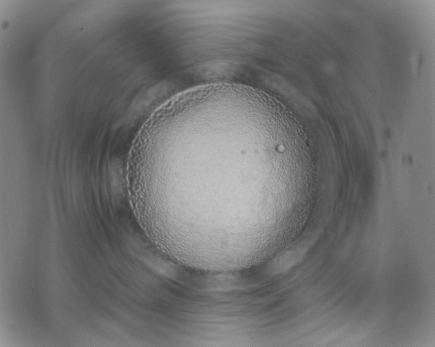 X0000071830240200607141708