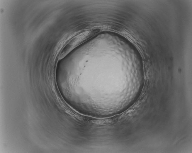 X0000071830241200607141707