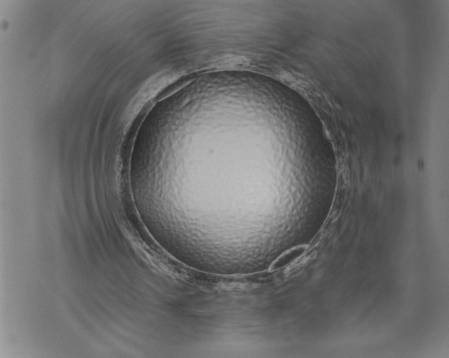 X0000071830242200607141707