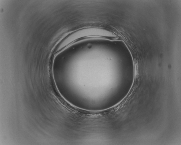 X0000071830243200607141707