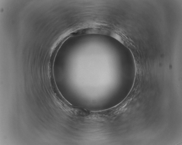 X0000071830244200607141707