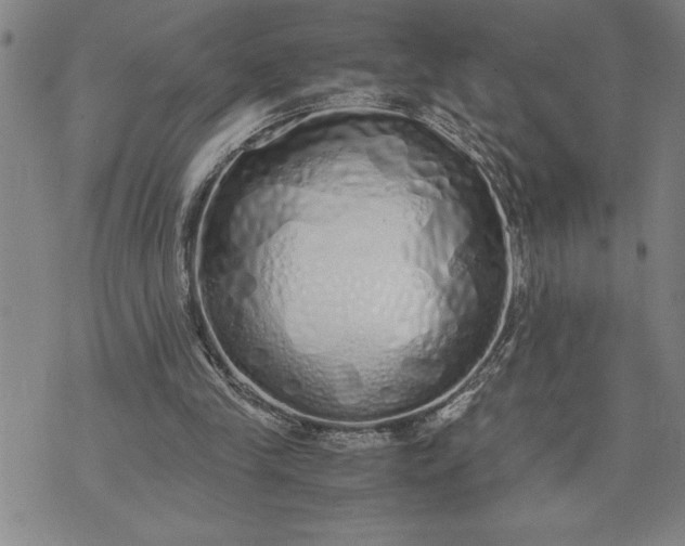 X0000071830245200607141707