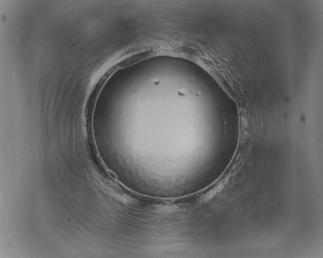 X0000071830246200607141707