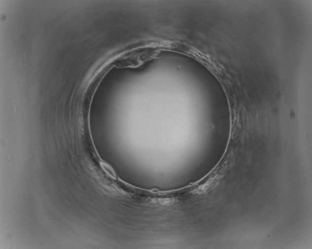 X0000071830247200607141707